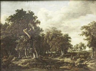 La forêt de chênes